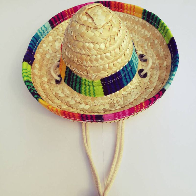 KFX-3369405 Stylish Straw Mini Pet Hat with Adjustable Cotton Rope Strap - One Size