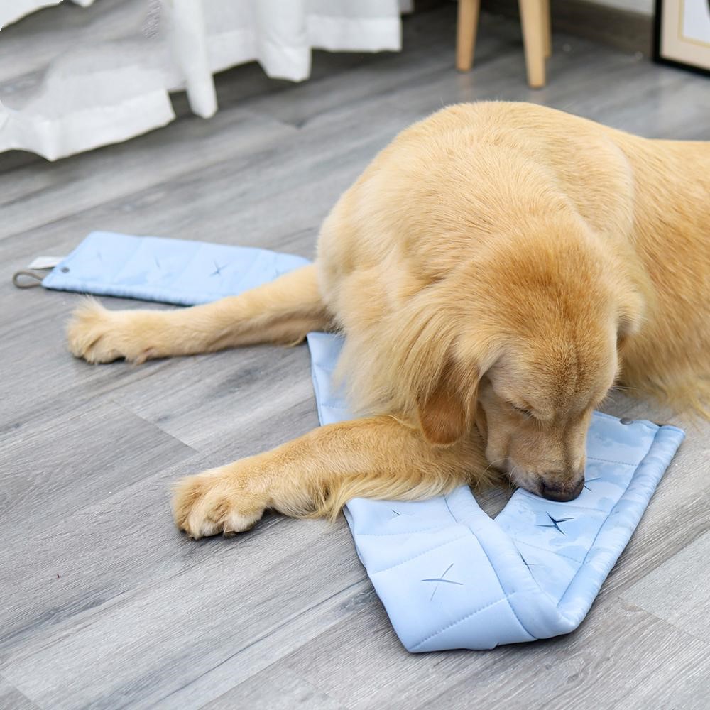 KFX-3371197 Durable Sniffing Toy for Dogs - Polyester Material in Blue and Gray