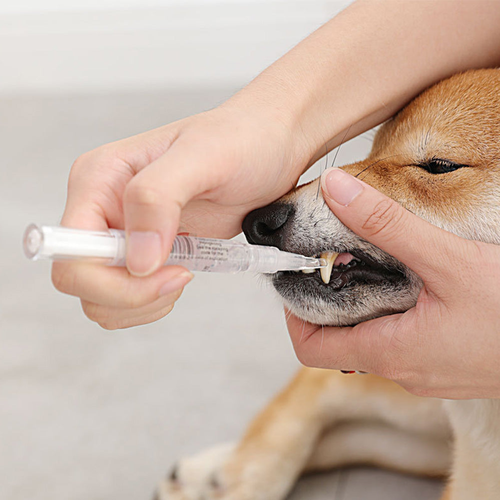 KFX-3372221 Pet Teeth Cleaning Pen Kit for Dogs and Cats - 2-Piece Tartar Removal and Gum Care Set
