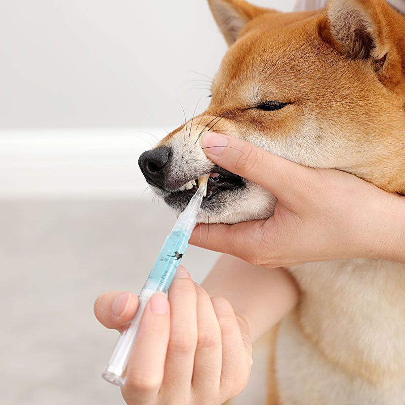 KFX-3372221 Pet Teeth Cleaning Pen Kit for Dogs and Cats - 2-Piece Tartar Removal and Gum Care Set