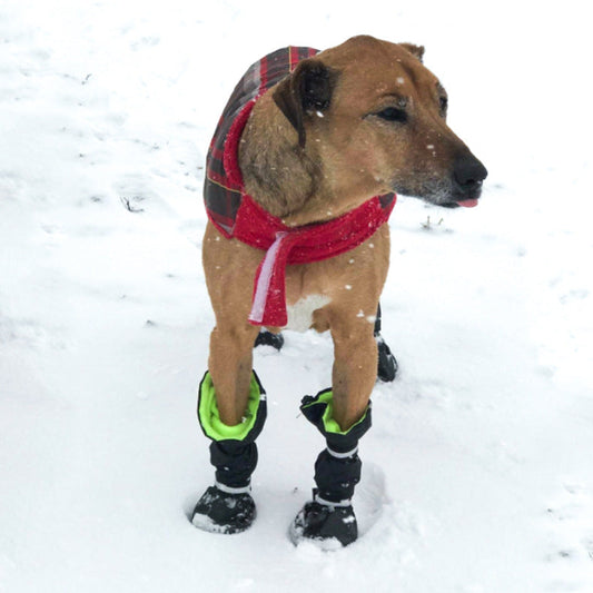 KFX-3382717 Waterproof and Snowproof Dog Shoes - Comfortable Rubber Rain Boots in Various Colors