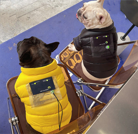 KFX-3384253 Warm Down Jacket for Small and Medium Dogs and Cats - Stylish and Comfortable in Yellow and Black