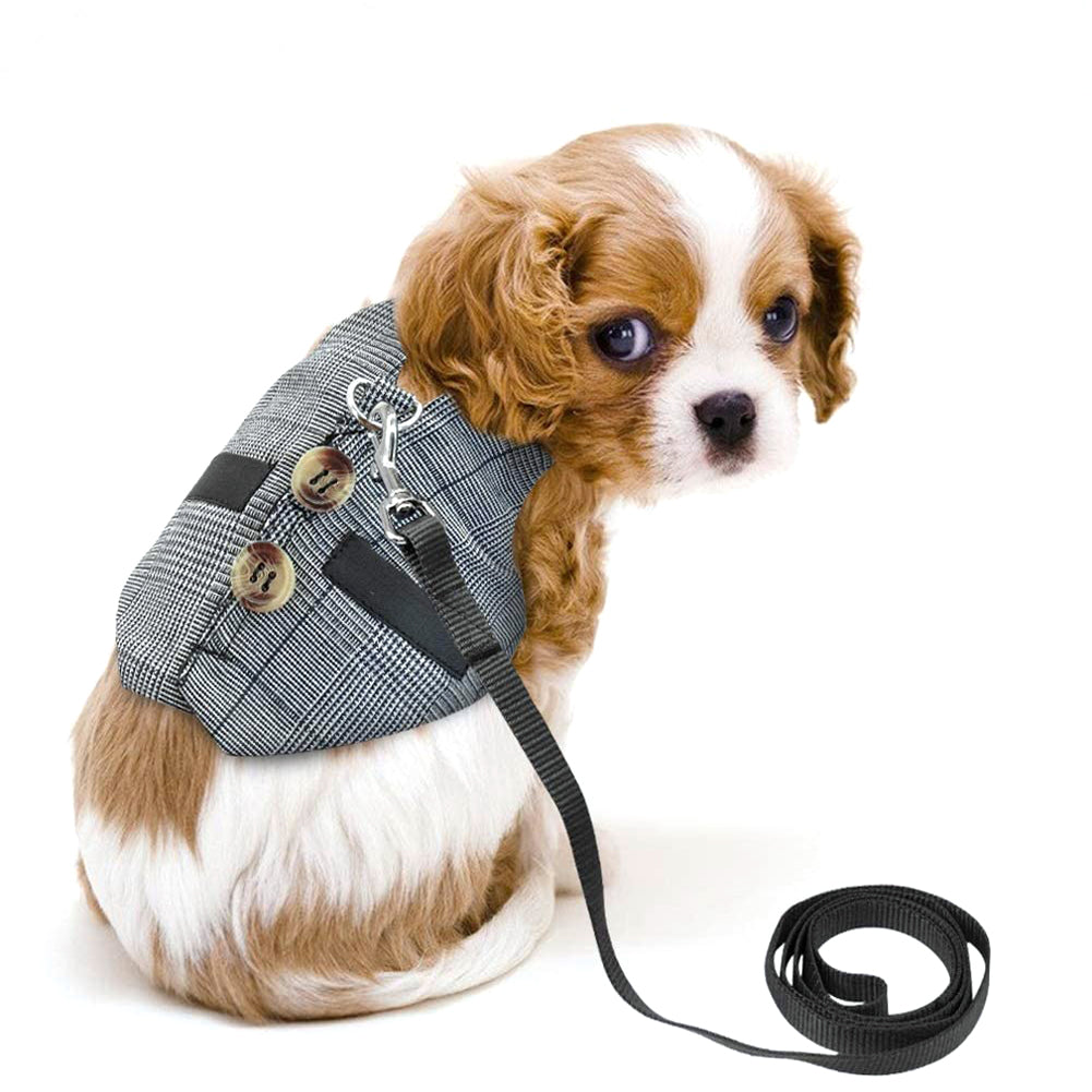 KFX-3385149 Stylish Rabbit Dress with Comfortable Chest Strap Leash for Small Pets