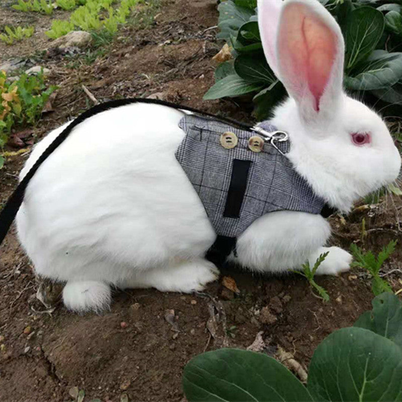 KFX-3385149 Stylish Rabbit Dress with Comfortable Chest Strap Leash for Small Pets