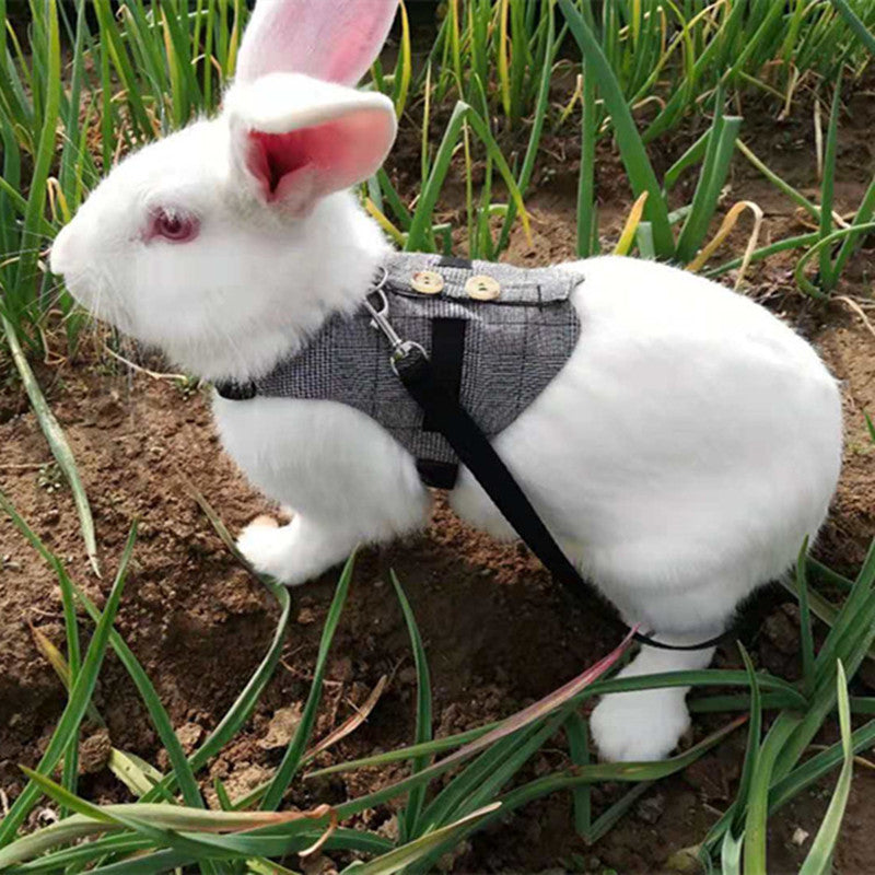 KFX-3385149 Stylish Rabbit Dress with Comfortable Chest Strap Leash for Small Pets