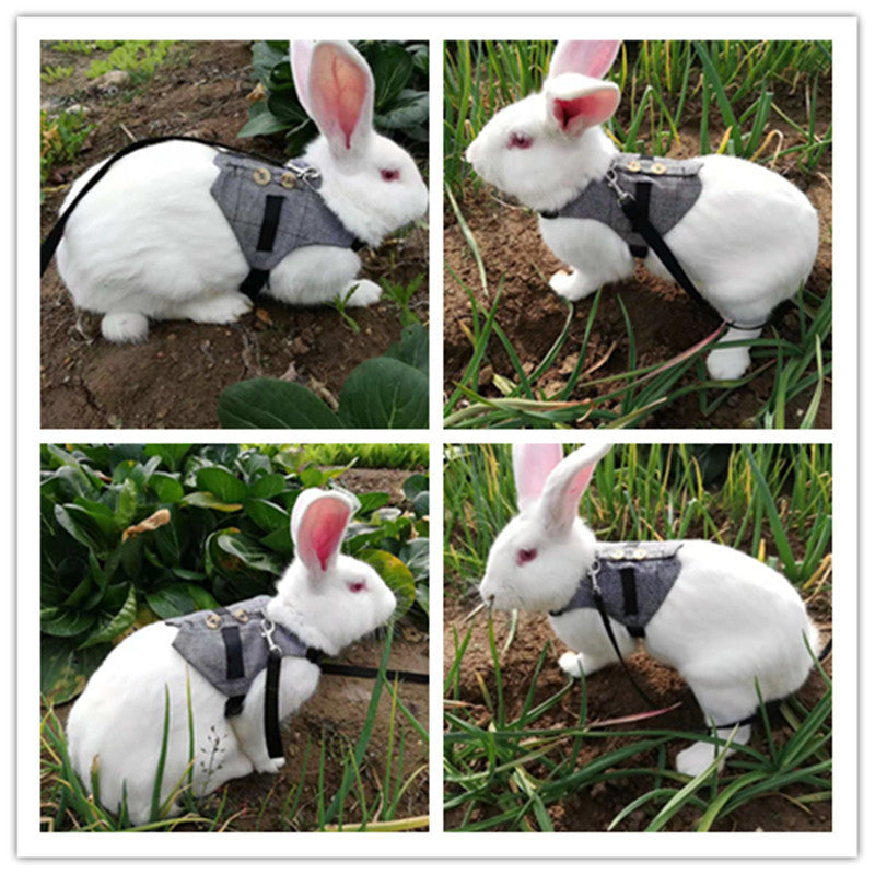 KFX-3385149 Stylish Rabbit Dress with Comfortable Chest Strap Leash for Small Pets