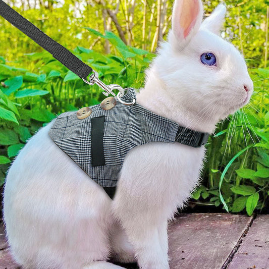 KFX-3385149 Stylish Rabbit Dress with Comfortable Chest Strap Leash for Small Pets