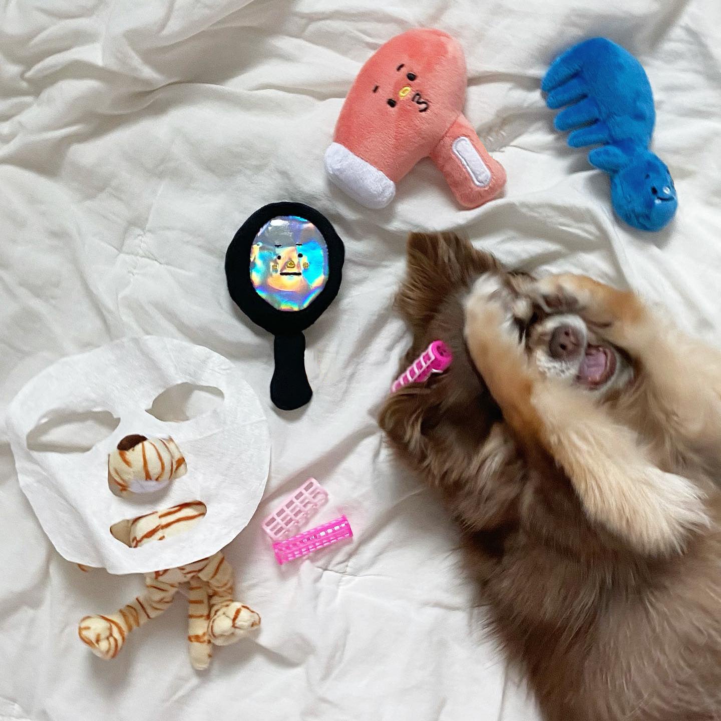 KFX-3385533 Three-Piece Plush Dog Toy Set for Grooming Fun