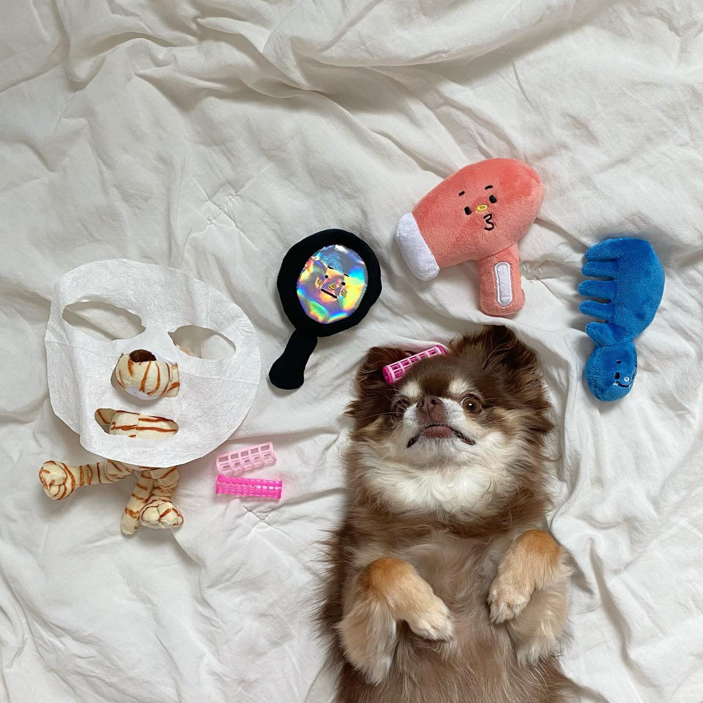 KFX-3385533 Three-Piece Plush Dog Toy Set for Grooming Fun
