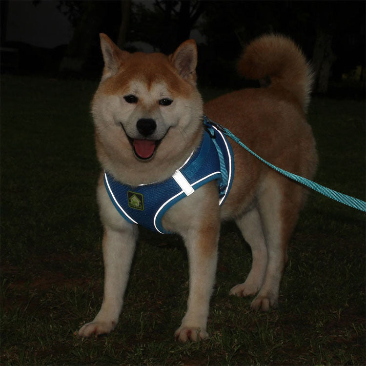 KFX-3396669 Reflective Polyester Chest Strap for Enhanced Safety and Visibility