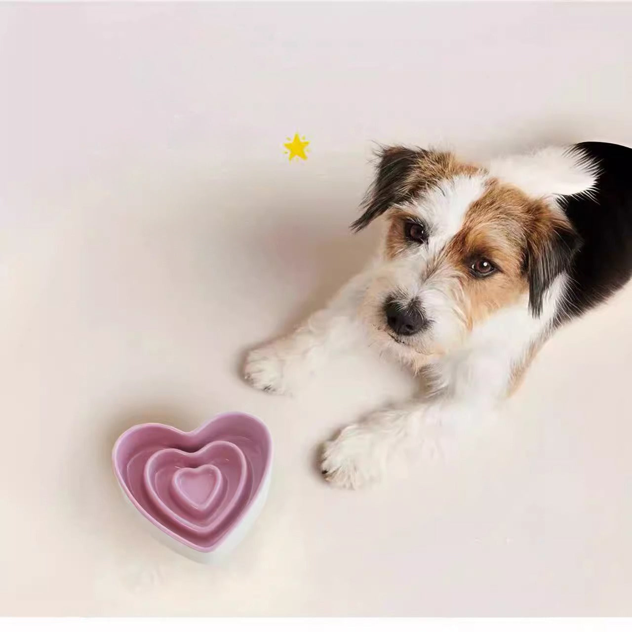 KFX-3397565 Ceramic Slow Feeder Bowl for Small and Medium Dogs - Anti-Choking Design to Protect Cervical Spine