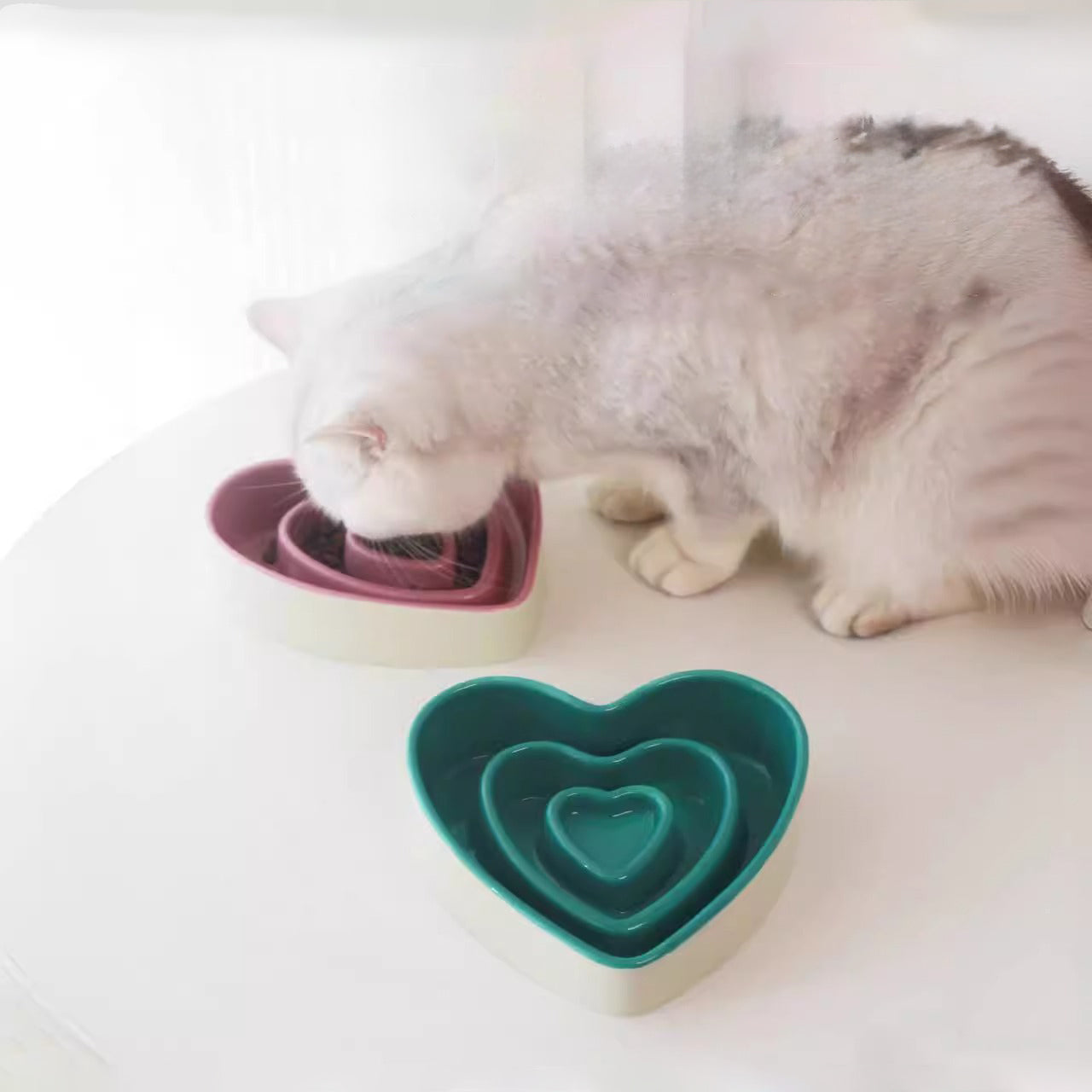 KFX-3397565 Ceramic Slow Feeder Bowl for Small and Medium Dogs - Anti-Choking Design to Protect Cervical Spine
