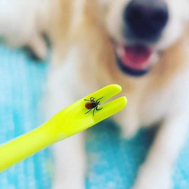 KFX-3398845 Dog Tick Removal Tool Set - 3-Piece Kit for Flea and Lice Elimination in Pets
