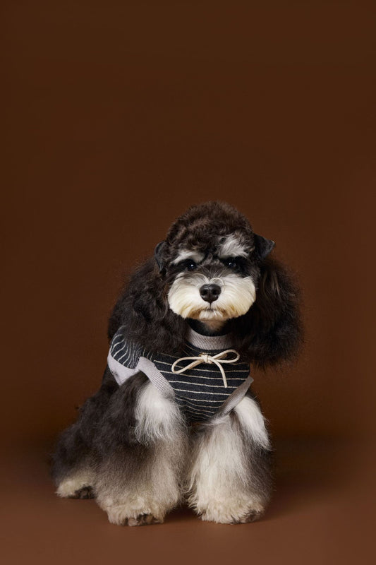 KFX-3401917 Striped Casual Sleeveless Sweater for Pets - Black, Coffee, Beige - Sizes XS to XXL