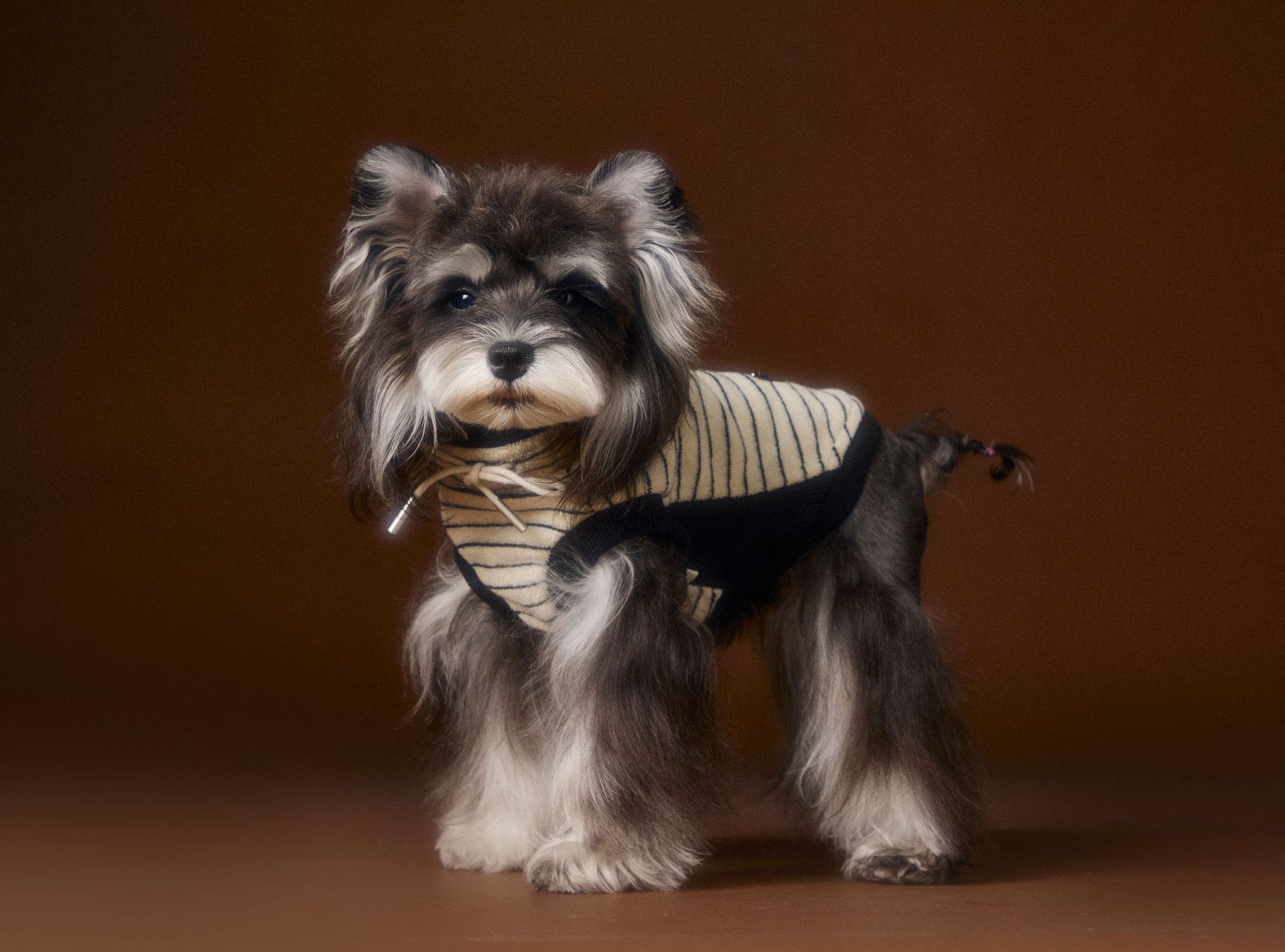 KFX-3401917 Striped Casual Sleeveless Sweater for Pets - Black, Coffee, Beige - Sizes XS to XXL