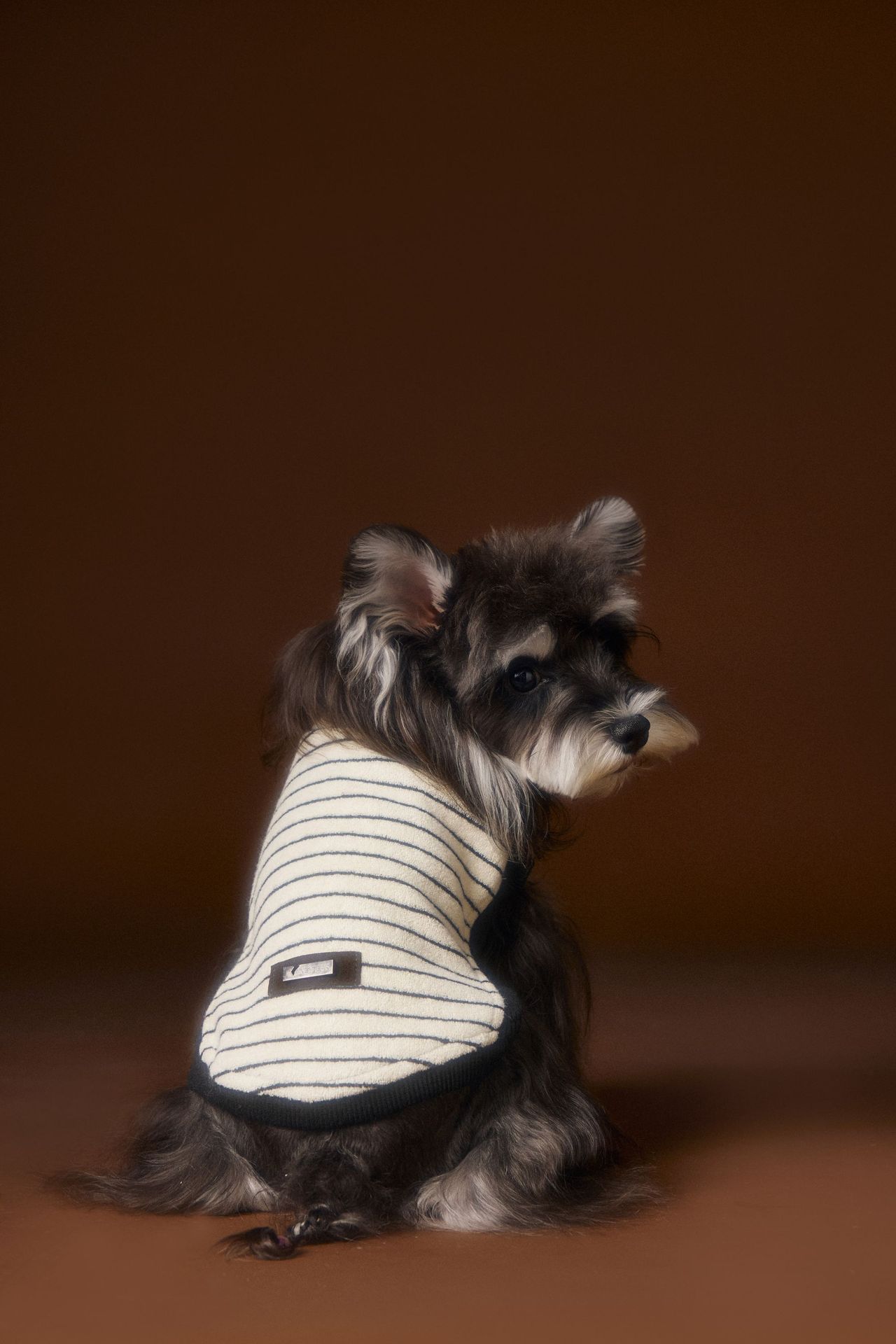 KFX-3401917 Striped Casual Sleeveless Sweater for Pets - Black, Coffee, Beige - Sizes XS to XXL