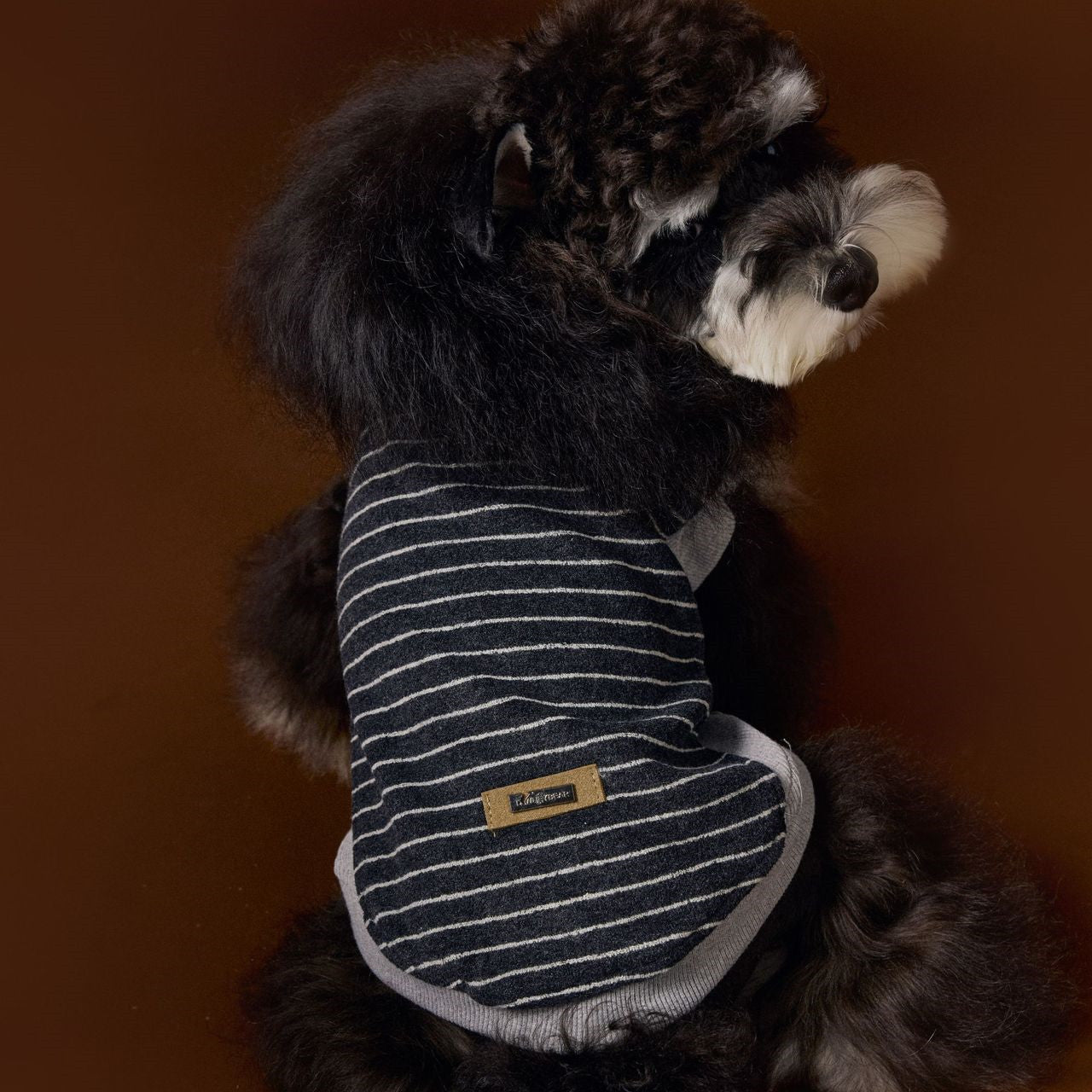 KFX-3401917 Striped Casual Sleeveless Sweater for Pets - Black, Coffee, Beige - Sizes XS to XXL
