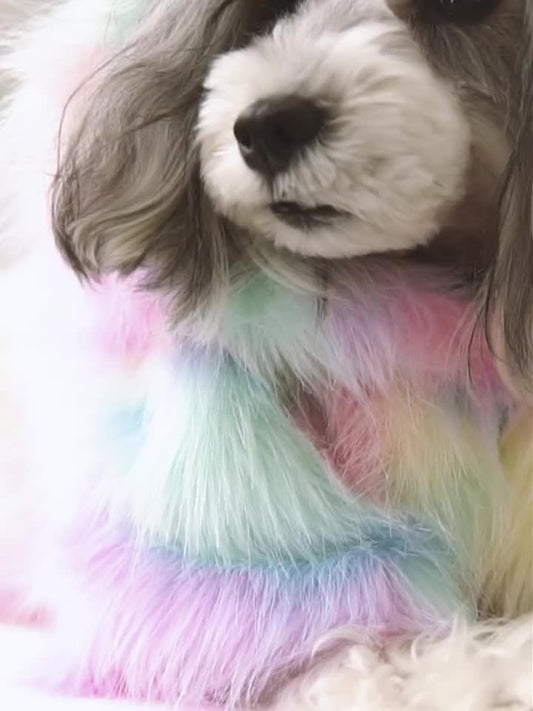 KFX-3409469 Rainbow Casual Pet Jacket - Polyester Vest for Small to Large Dogs