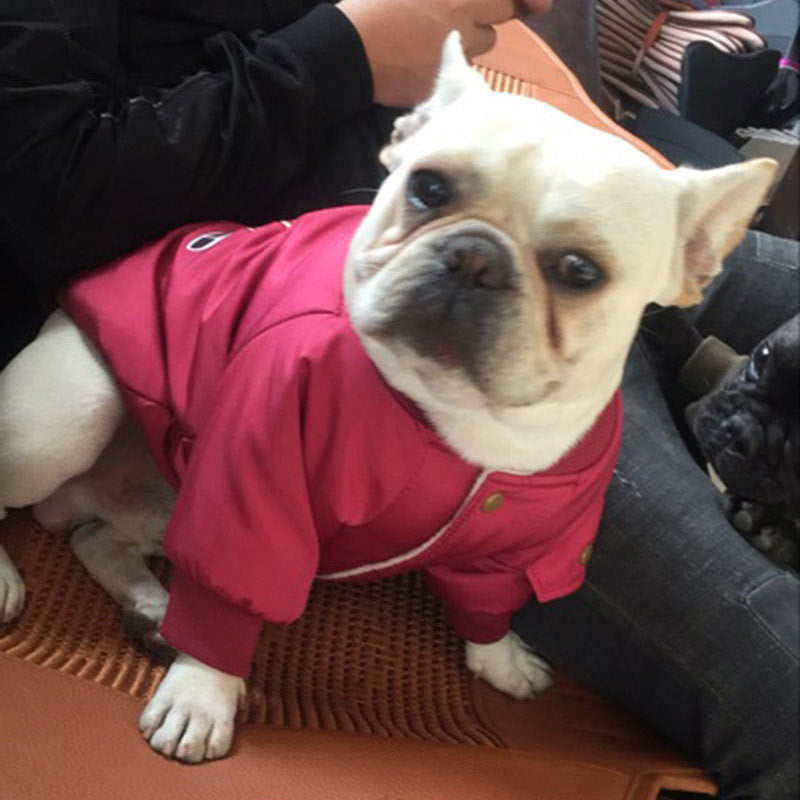 KFX-3413949 Dog Winter Jacket with Padded Warmth and Velvet Lining - Available in Black, Red, Army Green