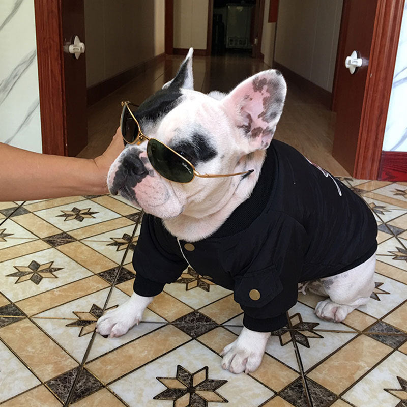 KFX-3413949 Dog Winter Jacket with Padded Warmth and Velvet Lining - Available in Black, Red, Army Green