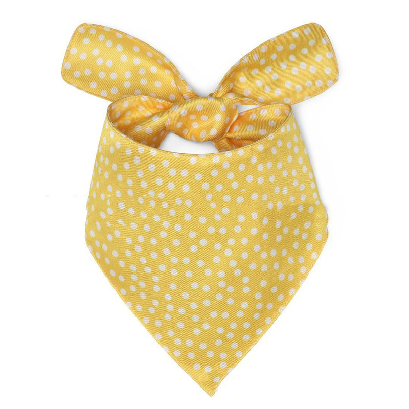 KFX-3416253 Multicolor Fashion Pet Bib with Unique Prints for Dogs