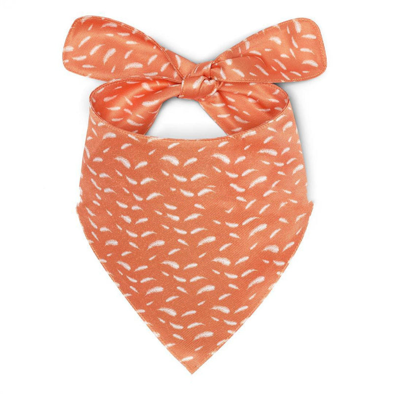 KFX-3416253 Multicolor Fashion Pet Bib with Unique Prints for Dogs