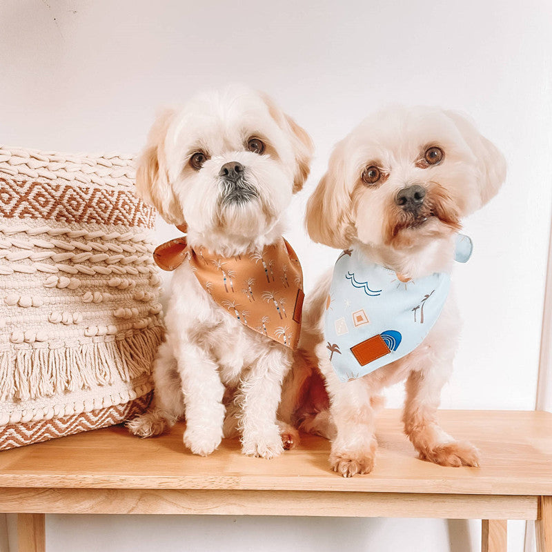 KFX-3416253 Multicolor Fashion Pet Bib with Unique Prints for Dogs