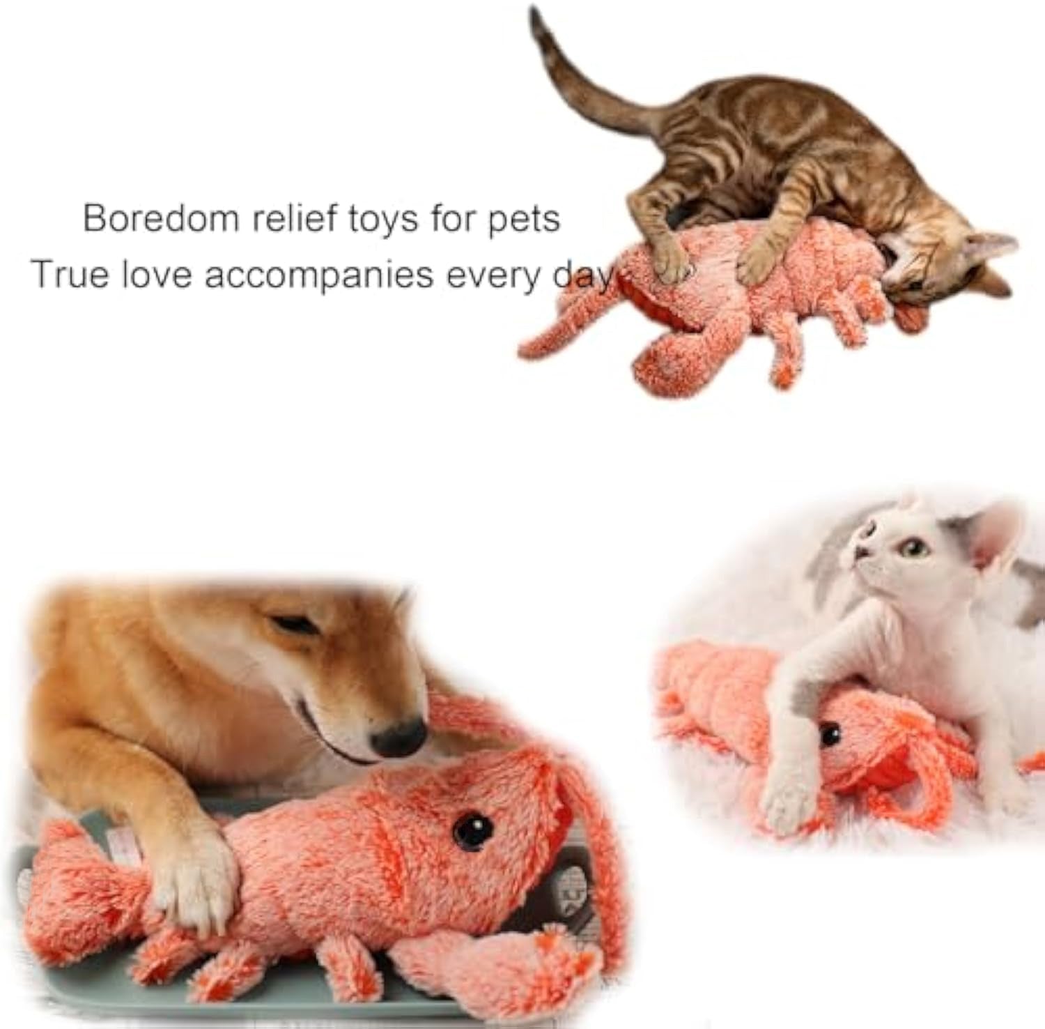 KFX-3421885 Cat and Small Dog Flopping Lobster Toy - Chewable, Catnip-Infused Kicker, USB-Rechargeable, and Washable