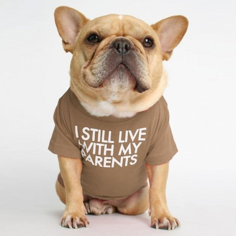 KFX-3422781 Fadou Fashionable Cotton Turtleneck Round Neck T-Shirt for Pets in Various Colors