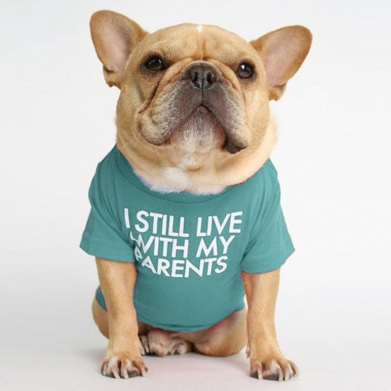 KFX-3422781 Fadou Fashionable Cotton Turtleneck Round Neck T-Shirt for Pets in Various Colors