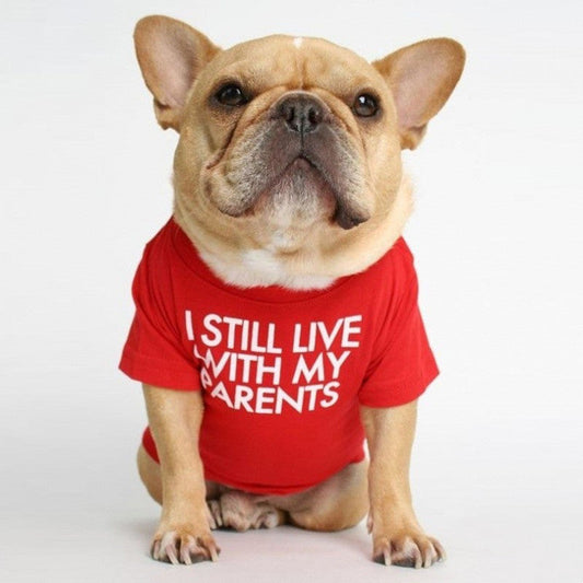 KFX-3422781 Fadou Fashionable Cotton Turtleneck Round Neck T-Shirt for Pets in Various Colors