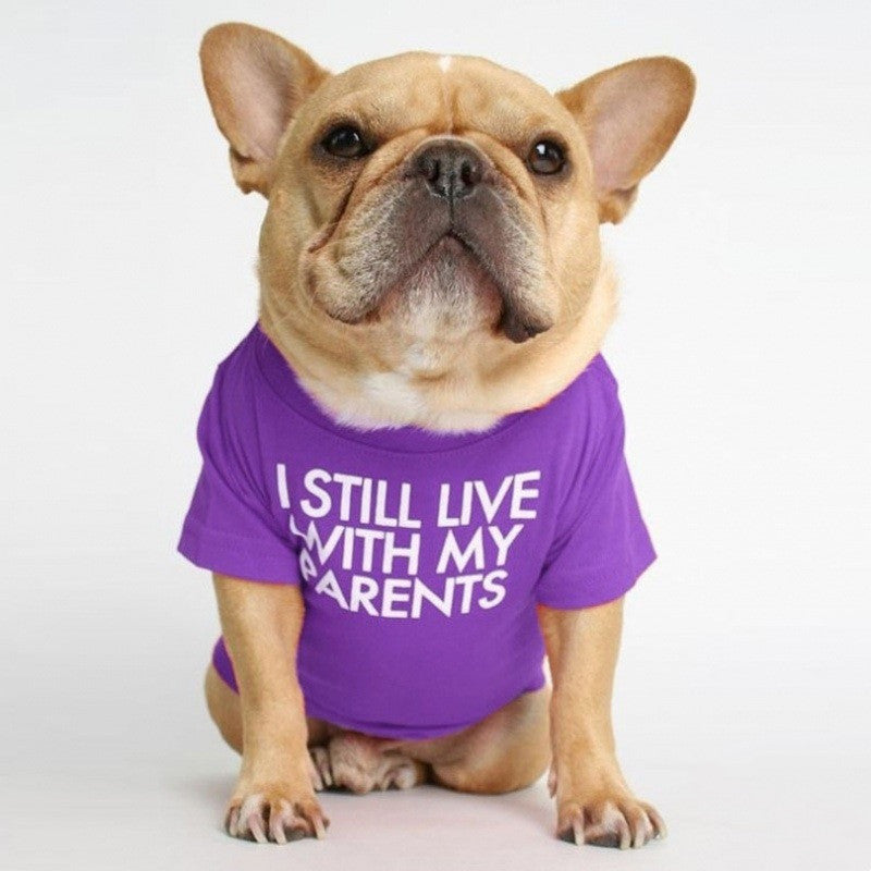 KFX-3422781 Fadou Fashionable Cotton Turtleneck Round Neck T-Shirt for Pets in Various Colors