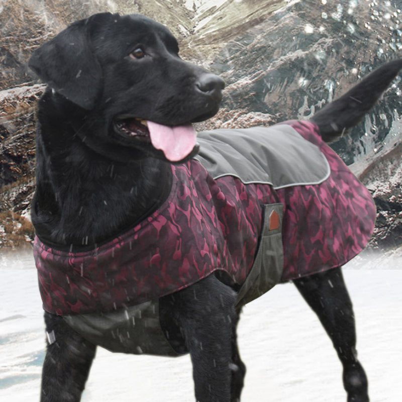 KFX-3424061 Winter Sports Jacket for Medium and Large Dogs, Wind-Proof and Cold-Proof, Available in Army Green, Sapphire Blue, and Fuchsia