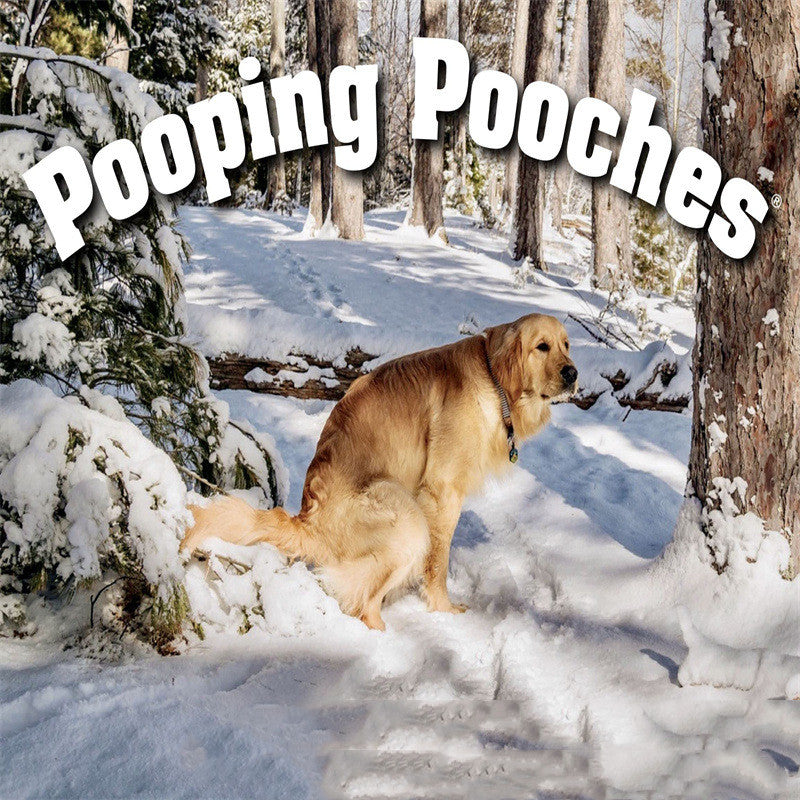 KFX-3427645 Dog Poop Calendar - Idyllic Design, 21x21cm Paper Card