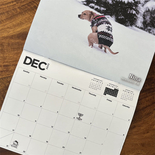 KFX-3427645 Dog Poop Calendar - Idyllic Design, 21x21cm Paper Card
