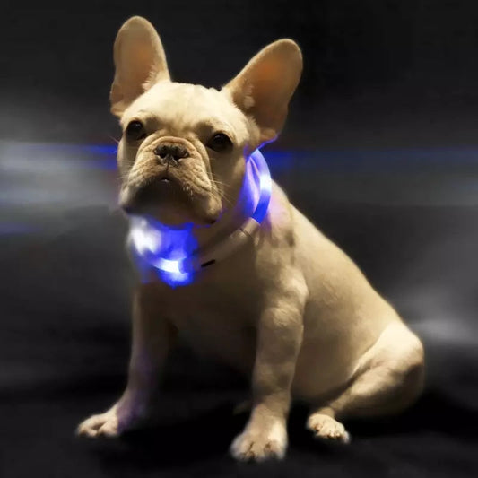 KFX-3432765 LED Pet Safety Collar with Adjustable Modes and USB Charging