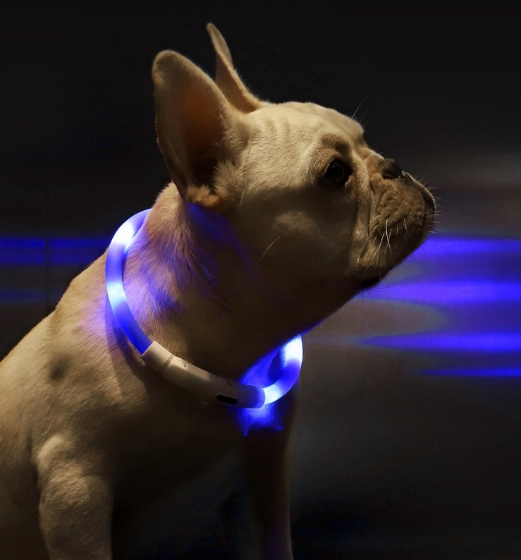 KFX-3432765 LED Pet Safety Collar with Adjustable Modes and USB Charging