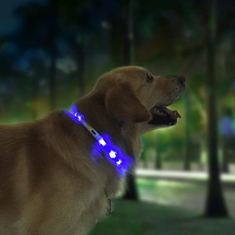 KFX-3432765 LED Pet Safety Collar with Adjustable Modes and USB Charging