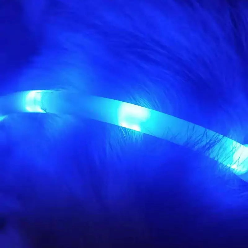 KFX-3432765 LED Pet Safety Collar with Adjustable Modes and USB Charging