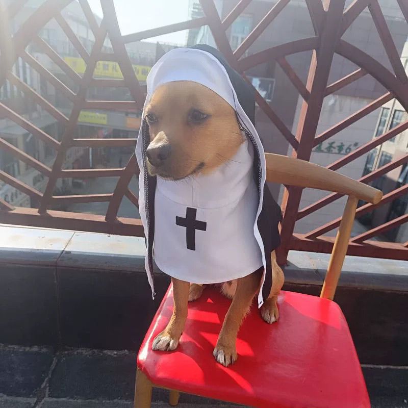 KFX-3437373 Nun Dog Costume for Small to Medium Dogs - Halloween Cloak Outfit for Pets