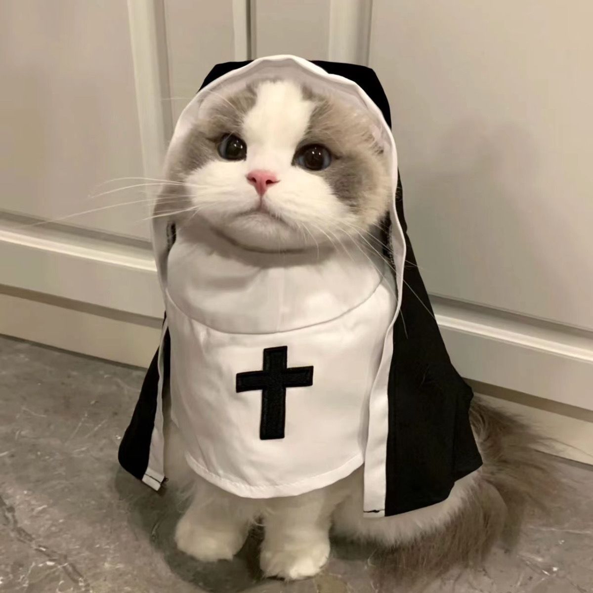 KFX-3437373 Nun Dog Costume for Small to Medium Dogs - Halloween Cloak Outfit for Pets