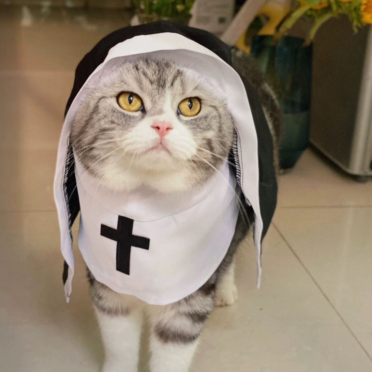KFX-3437373 Nun Dog Costume for Small to Medium Dogs - Halloween Cloak Outfit for Pets