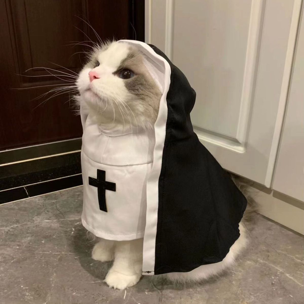KFX-3437373 Nun Dog Costume for Small to Medium Dogs - Halloween Cloak Outfit for Pets