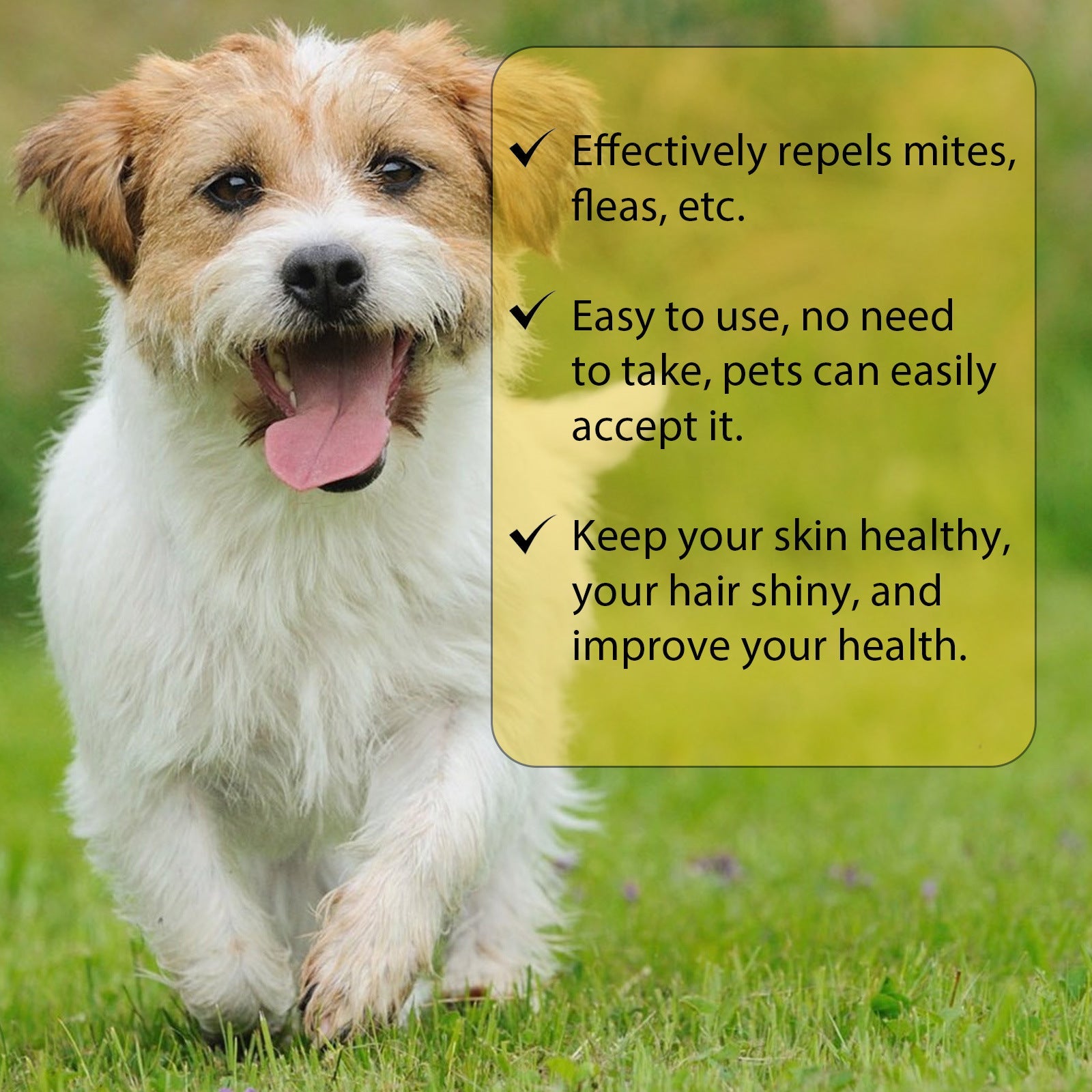 KFX-3438525 Flea and Tick Treatment for Dogs - External Skin Care Drops with Herbal Extracts