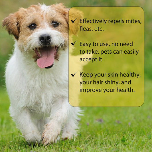 KFX-3438525 Flea and Tick Treatment for Dogs - External Skin Care Drops with Herbal Extracts