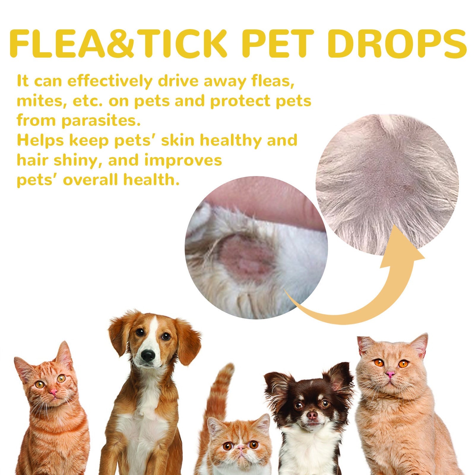 KFX-3438525 Flea and Tick Treatment for Dogs - External Skin Care Drops with Herbal Extracts
