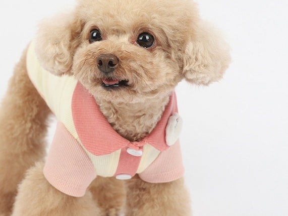 KFX-3442237 Cotton Bipedal Casual Cardigan for Pets - Available in Blue and Pink