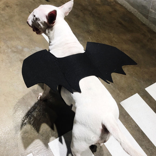 KFX-3443261 Pet Bat Wings Dog Costume Accessory for Small, Medium, and Large Pets