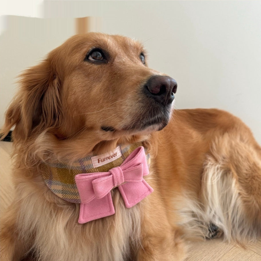 KFX-3449021 Maillard Puppy Bow Bib – Adjustable Pet Collar for Small to Extra-Large Dogs