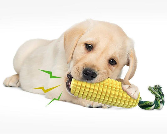 KFX-3450045 Durable Squeaky Corn Stick Dog Chew Toy for Small to Large Breeds